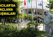 Bağcılar’da zararlı tırtıllar ilaçlanıyor Bağcılar Belediyesi, güllere ve dut ağaçlarına