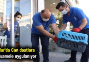 Bağcılar’da can dostlara özel muamele uygulanıyor  9 ayda 4 bin