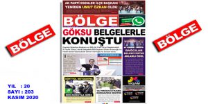 BÖLGE GAZETESİ , YIL:20 , SAYI: 203 , ”KASIM” SAYISI ÇIKTI!..