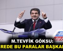 GÖKSU: ”NEREDE BU PARALAR BAŞKAN?”