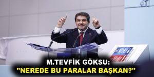 GÖKSU: ”NEREDE BU PARALAR BAŞKAN?”