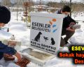 ESEV’den sokak hayvanlarına destek