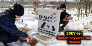 ESEV’den sokak hayvanlarına destek