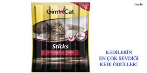 KEDİLERİN EN ÇOK SEVDİĞİ KEDİ ÖDÜLLERİ