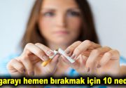 Sigarayı hemen bırakmak için 10 neden! 9 Şubat Dünya Sigarayı