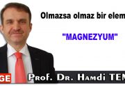 Olmazsa olmaz bir element; magnezyum Geçen gün magnezyum ile ilgili