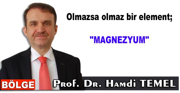 Olmazsa olmaz bir element; ”Magnezyum”