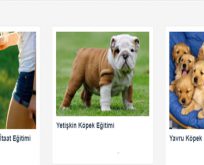 Köpeklerde Agresyon Eğitimi Ne Kadar Sürer?