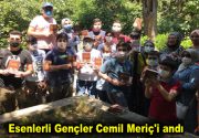 İRFAN YOLUNDA BİR MÜTEFEKKİR: CEMİL MERİÇ Yazar, çevirmen ve mütefekkir