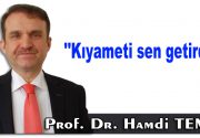 Kıyameti sen getirdin! Son günlerde bir ailenin pencerelerinin önüne yuva