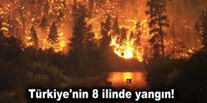 Türkiye’nin 8 ilinde yangın!