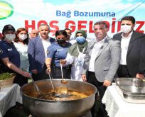 Bağcılar’da bağ bozumu zamanı