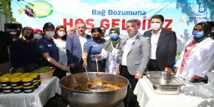 Bağcılar’da bağ bozumu zamanı