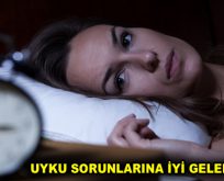 UYKU SORUNLARINA İYİ GELEN 9 BESİN