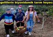 Engellilerin biyonidamik tarım heyecanı Bağcılar Belediyesi Feyzullah Kıyıklık Engelliler Sarayı