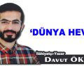 DÜNYA HEVESİ