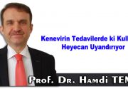 Kenevirin tedavilerde ki kullanımı heyecan uyandırıyor Bugün Düzce Üniversitesi Eczacılık