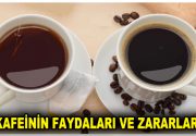 KAFEİNİN FAYDALARI VE ZARARLARI NELERDİR? Diyetisyen ve Yaşam Koçu Tuğba Yaprak konu ile ilgili bilgiler verdi.