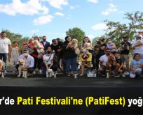 Esenler’de Pati Festivali’ne (PatiFest) yoğun ilgi