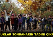 ÇOCUKLAR SONBAHARIN TADINI ÇIKARDI Esenler Prof. Dr. Fuat Sezgin Bilgi