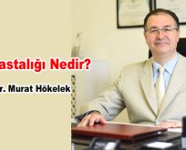 Lyme Hastalığı Nedir?
