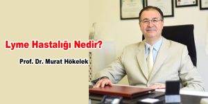 Lyme Hastalığı Nedir?