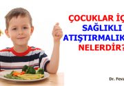 ÇOCUKLAR İÇİN SAĞLIKLI ATIŞTIRMALIKLAR NELERDİR? Dr. Fevzi Özgönül, okulların ara tatile girmesine