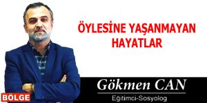 ÖYLESİNE YAŞANMAYAN HAYATLAR