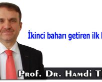 İkinci baharı getiren ilk heyecan