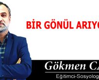 BİR GÖNÜL ARIYORUM