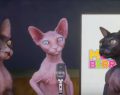 Cat Dance Song – Funny Cat Video Funny Cat Dance