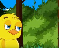 Civciv Kaç Şarkısı – Türkçe Çocuk Şarkıları & Çizgi Film Kanalı