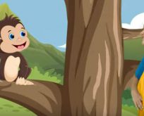 Konuşan Maymun Şarkısı – Türkçe Çocuk Kanalı