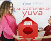 Esenlerli Minikler Sokak Hayvanlarını Unutmadı