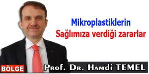 Mikroplastiklerin sağlımıza verdiği zararlar