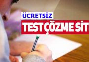 Ücretsiz test çözme sitesi Test çözme faaliyetlerinin, öğrencilerin ders çalışma