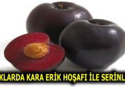 SICAKLARDA KARA ERİK HOŞAFI İLE SERİNLEYİN! Yaz ayları, özellikle sıcakların