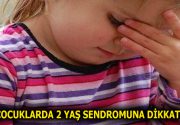 ÇOCUKLARDA 2 YAŞ SENDROMUNA DİKKAT! Uzman Psikolog Tuğçe Yılmaz konu