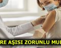 Zatürre Aşısı Yaptırmalı Mısınız?