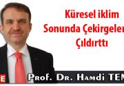 Küresel iklim sonunda çekirgeleri de çıldırttı Geçen gün Anadolu ajansında