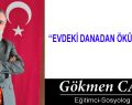 EVDEKİ DANADAN ÖKÜZ OLMAZ