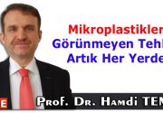 Mikroplastikler: Görünmeyen Tehlike Artık Her Yerde Bugün, World Economic Forum’un
