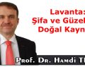 Lavanta: Şifa ve Güzelliğin Doğal Kaynağı