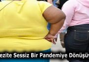 Dr. Doğan Erkal Uyarıyor: “Obezite Sessiz Bir Pandemiye Dönüşüyor” –