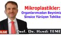 Mikroplastikler: Organlarımızdan Beynimize Sinsice Yürüyen Tehlike