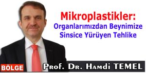 Mikroplastikler: Organlarımızdan Beynimize Sinsice Yürüyen Tehlike