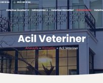 Evcil Hayvanlarda Acil Durumlar ve Acil Veteriner İhtiyacı
