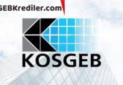 Emekli Bankacı Hatice KESGİN Uyardı! Esnaf Kefalet Kredisi Çekmeden Bu