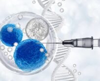 Kök Hücre Tedavisi: Gerçekten Kimlere, Ne Zaman, Nasıl Fayda Sağlar?