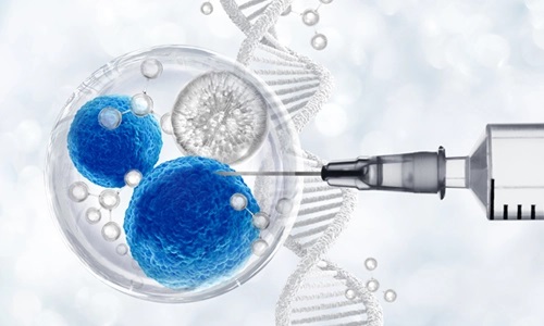 Kök Hücre Tedavisi: Gerçekten Kimlere, Ne Zaman, Nasıl Fayda Sağlar?